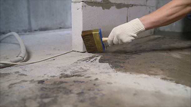 24/7 Emergency Wet Basement Repair experts in Zeeland, MI